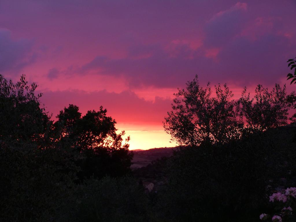 Agriturismo Apparita Montecastelli Pisano Eksteriør bilde
